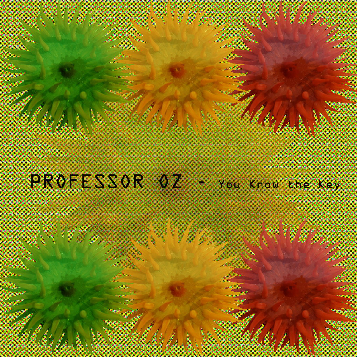 pochete album oz